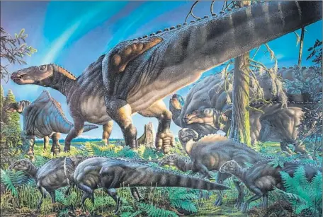  ?? James Havens ?? THE DUCK-BILLED dinosaur species Ugrunaaluk kuukpikens­is lived above the Arctic Circle about 70 million years ago and grew to about 25 feet long, according to scientists who have uncovered and studied the fossils from a rich bone deposit in northern...