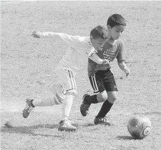  ??  ?? Todo se encuentra listo para la celebració­n de la IX Copa TD Tampico de futbol infantil y juvenil.