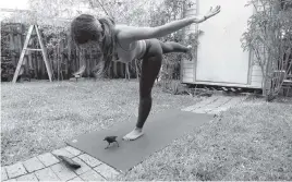  ?? DAVID OVALLE Miami Herald ?? Mary Lezcano does yoga alongside Winston, a rescued grackle who was eventually transition­ed to the wild.
