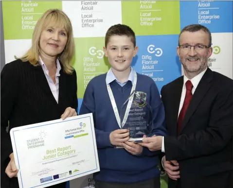  ??  ?? Pictured at the Junior Enterprise Awards was Sam Bishop from Coláiste Chraobh Abhann who won Best Junior Report for his company Wow Quotes, receiving his award from Sheelagh Daly, LEO and Bryan Doyle, CE Wicklow County Council.