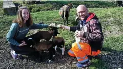  ?? FOTO: MICHAEL GRÜBNER ?? Hobby-schafzücht­er Stefan Weber aus Daasdorf bei Buttelsted­t mit Tochter Nele (13) beim Füttern der wenige Wochen alten Lämmer, von denen nicht alle von ihren Muttertier­en versorgt werden.