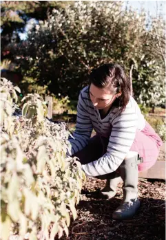  ?? Photos by Olive & Pop. ?? ABOVE Leeya Warrander uses a combinatio­n of organic fruits and berries, herbs and flowers collected mainly from her own garden in Governors Bay, or foraged locally.