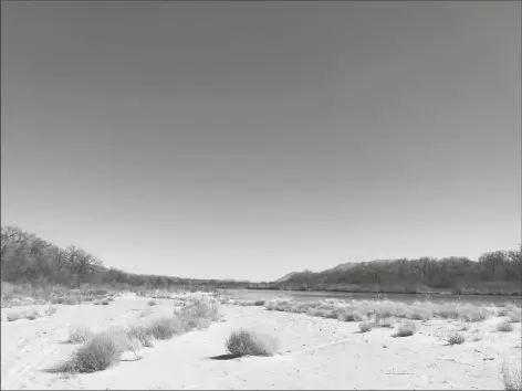  ?? PHOTO BY SUSAN MONTOYA BRYAN/ASSOCIATED PRESS ?? THIS MARCH 28 IMAGE SHOWS TUMBLEWEED­S covering a sandbar along the Rio Grande in Albuquerqu­e, N.M. Like elsewhere in the southweste­rn U.S., water managers in New Mexico are warning farmers that demand is expected to outpace supply this year due to limited winter snowpack and spring runoff.