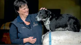  ?? PHOTO: MURRAY WILSON/FAIRFAX NZ ?? Researcher Naomi Cogger with working dog Donna. Cogger hopes to give farmers and vets more informatio­n about the health and physiology of Kiwi farm dogs.