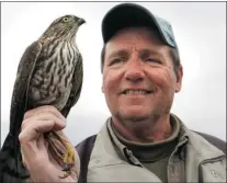  ?? DAN JANISSE/THE Windsor Star ?? Holiday Beach has been identified as one of the best hawkwatchi­ng locations in North America by Audubon Magazine. Here, Dennis Patrick, of the Holiday Beach Migration Observator­y, holds
a sharp-shinned hawk at the park on Sept. 25.