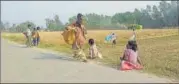  ?? HT PHOTO ?? Children waiting for their turn to collect wheat from a field in Terai belt of Bahraich region.