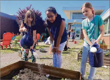  ?? Brian Gioiele / Hearst Connecticu­t Media ?? Perry Hill students water plants and weed gardens in the Shelton school’s outdoor classroom.