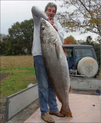  ??  ?? Un maigre hivernal d’1,65 m et 38 kg, comme quoi cette période peut apporter ses surprises.