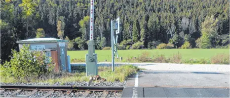  ?? FOTO: POLIZEI TUTTLINGEN ?? Mit einem Schaufella­der wurden die Ziegenkada­ver an der Bahnstreck­e weggeräumt, so die Pressestel­le der Bundespoli­zei.