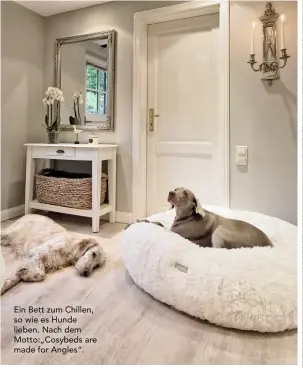  ??  ?? Ein Bett zum Chillen, so wie es Hunde lieben. Nach dem Motto:„Cosybeds are made for Angles“.