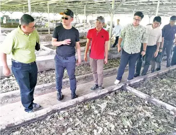  ??  ?? Junz (second left) being briefed by Pak Markus Susanto (first left) on the bio-conversion waste to protein process - converting food waste into ‘frass’ (bio fertilizer).