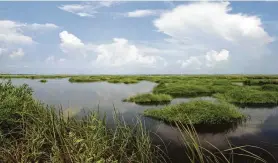  ?? Shannon Tompkins / Staff ?? Almost destroyed by saltwater intrusion, this 1,500-acre tract of now-robust coastal marsh in Jefferson County was rebuilt using millions of yards of dredge material, part of almost 100,000 acres improved, restored or protected by the multi-faceted Salt Bayou Project.