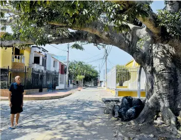  ?? FOTOS: RAFAEL POLO ?? Panorama de la calle 79 con carrera 26C1, en el barrio El Silencio, con el árbol de bonga a un costado.