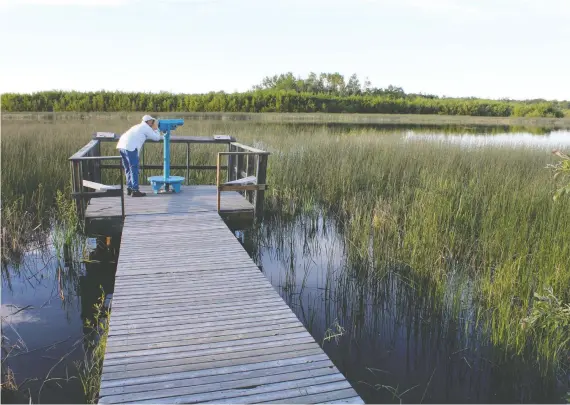  ?? GLENN GUSTAFSON ?? With 100 species of birds, the Clifford E. Lee Nature Sanctuary near Edmonton is particular­ly popular with birdwatche­rs.