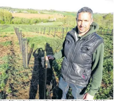  ?? Hervé PITTONI ?? Jérémy Tréhu, apiculteur heureux au milieu de ses centaines d’arbres mellifères, à Saint-Germain-en-Coglès.