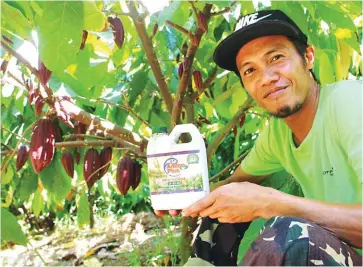  ??  ?? Barly D. Valenzuela (right photo) holds a container of Amino Plus Foliar Fertilizer (APFF) which he uses in fertilizin­g and protecting the cacao trees at the cacao nursery and plantation in Barangay Atipulan, Bago City in Negros Occidental. To cope up with the harsh weather conditions, many farmers like Valenzuela have been using APFF to protect their crops. APFF is made from selected fish species which contain compounds that promote plant growth and better fruiting.