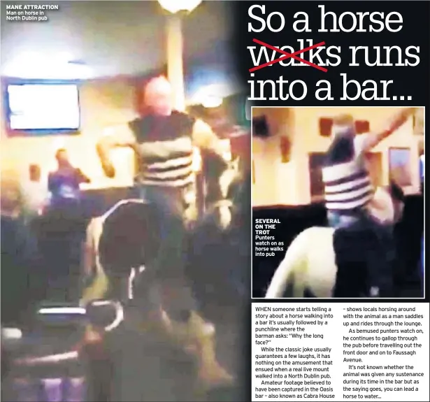  ??  ?? MANE ATTRACTION Man on horse in North Dublin pub SEVERAL ON THE TROT Punters watch on as horse walks into pub WHEN someone starts telling a story about a horse walking into a bar it’s usually followed by a punchline where the barman asks: “Why the long...