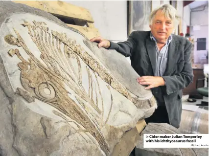  ?? Richard Austin ?? > Cider maker Julian Temperley with his ichthyosau­rus fossil