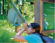  ?? Foto: Ringeisen Gymnasium ?? Konzentrie­rter Blick: Beim Walderlebn­ispfad am Krumbad gibt es allerhand zu ent decken. Fünftkläss­ler des Ringeisen Gymnasiums Ursberg erstellten im Unterricht eine Infobrosch­üre für die Forstbetri­ebe Weißenhorn.