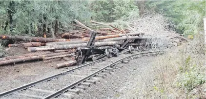  ??  ?? Aftermath of derailment: A faulty coupler, the mechanism that connects rail cars, caused 11 cars loaded with logs to detach from the spotting line and roll freely toward the community of Woss.
