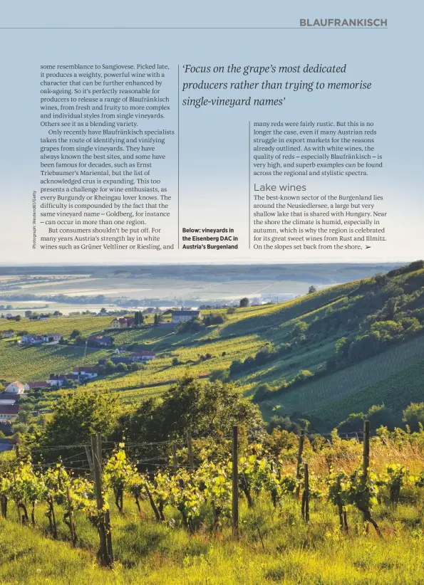  ??  ?? Below: vineyards in the Eisenberg DAC in AustriaÕs Burgenland