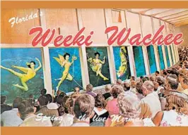  ?? PHOTOS: UNIVERSITY PRESS OF FLORIDA/COURTESY ?? Approximat­ely ten years after its opening, Weeki Wachee replaced the original underwater theater with this giant auditorium-like building.