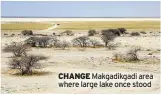  ??  ?? CHANGE Makgadikga­di area where large lake once stood