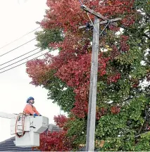  ??  ?? Trees growing close to powerlines can be hazard, particular­ly in areas prone to high winds. Keeping them under control is a job for the profession­als.