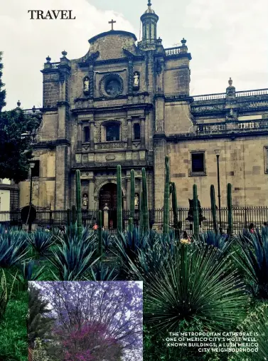  ??  ?? the Metropolit­an Cathedral is one of Mexico City’s Most wellknown buildings; a lush Mexico City neighbourh­ood