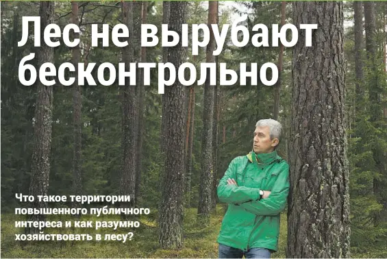  ??  ?? РАЗУМНЫЙ ПОДХОД: Марко Траве говорит, что в отношении леса не должно быть черно-белого понимания – всего хорошо в меру.