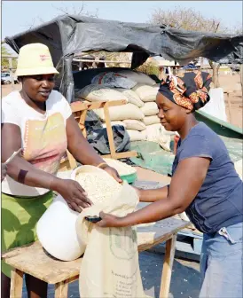  ??  ?? Mrs Juliet Kwangwari (right) and Mrs Primrose Musendo who are maize vendors in Beitbridge sell the grain to a client (out of picture) recently. The enterprisi­ng women who sell a bucket of maize for R100 get their stock from as far as Beatrice. On what...