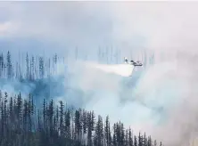  ?? CHRIS PETERSON/HUNGRY HORSE NEWS ?? An air tanker is seen dropping water over a wildfire burning in Glacier National Park, Mont., on Sunday. The fire was started by lightning on Saturday, and forced evacuation­s and closures in the park.