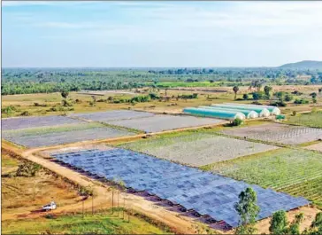  ?? SUPPLIED ?? A solar farm in Kampong Thom.