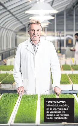  ??  ?? los ensayos Mike McLaughlin, en la Universida­d de Adelaida midiendo las respuesta del fertilizan­te