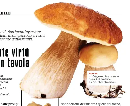  ??  ?? Porcini In 100 grammi ce ne sono quasi 4 di proteine e 2,5 di fibre alimentari.