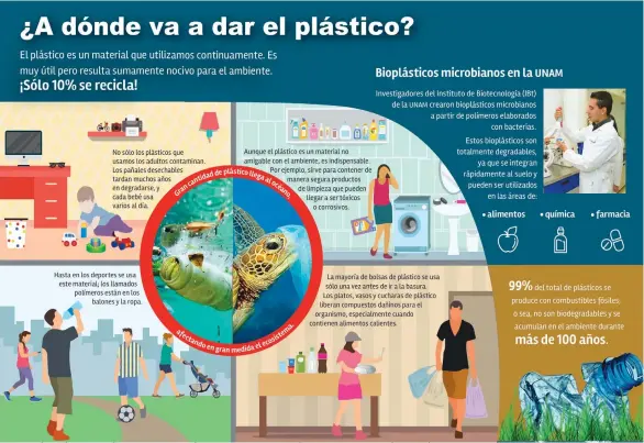  ??  ?? TEXTO: ISABEL PéREZ / GRÁFICO: RAQUEL MUñOZ / EDITOR: ALFONSO A. FERNÁNDEZ / COORDINADO­RAS DE INFORMACIó­N: NAIX’IELI CASTILLO Y CLAUDIA JUÁREZ / DIRECCIóN GENERAL DE DIVULGACIó­N DE LA CIENCIA / CIENCIAUNA­M@UNAM.MX