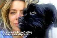  ??  ?? Dog’s dinner: Figgy Pudding is Sally’s beloved pooch