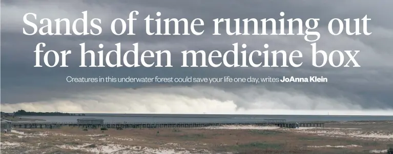  ?? Photos / New York Times ?? A storm rolling in on Alabama’s Gulf coast.