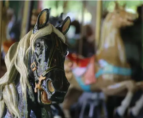  ?? STEVE RUSSELL/TORONTO STAR FILE PHOTO ?? The intention to purchase the carousel was only brought to Carmel city council’s attention on July 17, and took place without their approval.