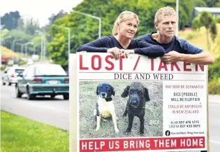  ?? PHOTO: PETER MCINTOSH ?? Searching . . . Louisa Andrew and Alan Funnell with the sign depicting their lost dogs at Caversham Valley Rd, Dunedin, last year.