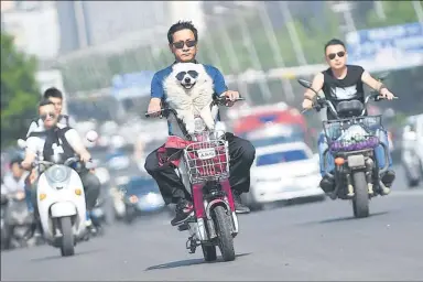  ?? WU JUNJIE / FOR CHINA DAILY ?? A dog wearing sunglasses goes out with its owner in Taiyuan, Shanxi province, last week when a heat wave swept across much of North China.