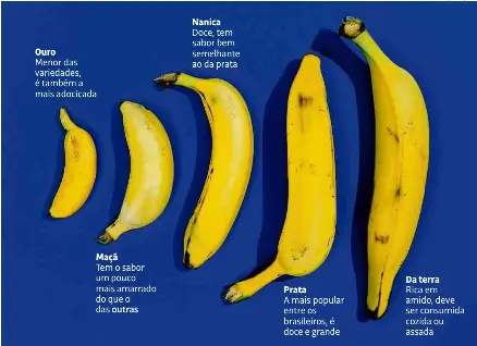 Rossiyada ona va ogil jinsiy aloqa