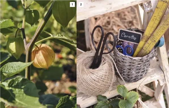  ??  ?? Au potager, les coquerets du Pérou se mêlent aux aromatique­s pour un résultat aussi graphique qu’odorant.
Vieux ustensiles et cordelette de lin attendent leur jour sous la serre.
Dans différents contenants, on dispose des couches de paille et autres...