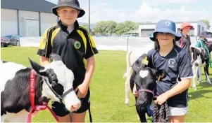  ?? ?? The quinella in the senior calf dairy section — Fletcher Ryder, 12, with Milly, and Matilda Easton, 10, with Daisy.