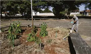  ??  ?? Operários realizam a poda e capina na praça em frente à paróquia Santo Antônio