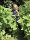  ?? PHOTO PROVIDED. ?? Children learn about gardening at Jumper Bean Daycare in Ballston Spa.