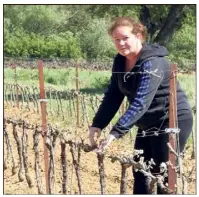  ?? (Photos Gilbert Rinaudo) ?? Les vignes d’Aude Degioanni ont été encore plus touchées que l’année dernière.