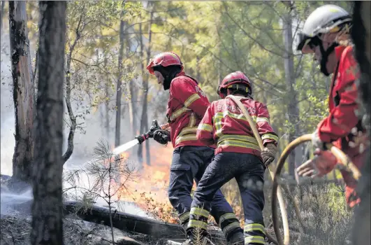  ?? AP PHOTO ?? Firefighte­rs control a wild fire approachin­g the village of Pucarica, near Abrantes, central Portugal, Aug.11.