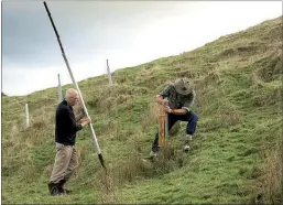  ?? PICTURE / FILE ?? DUAL PURPOSE: Poplar poles play a dual role of preventing erosion and reducing the sedimentat­ion of waterways.