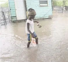 ?? JERMAINE BARNABY/PHOTOGRAPH­ER ?? A young girl puts herself in grave danger as she crosses the floodwater­s in her yard in Rocky Point, Clarendon.